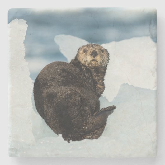 安静海船 ストーンコースター (正面)