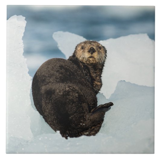 安静海船 タイル (正面)