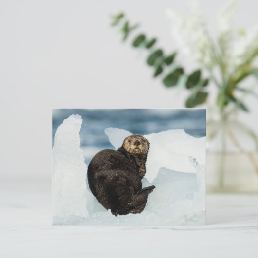 安静海船 ポストカード (スタンド正面)