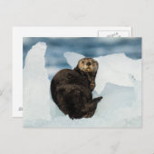 安静海船 ポストカード (正面/裏面)