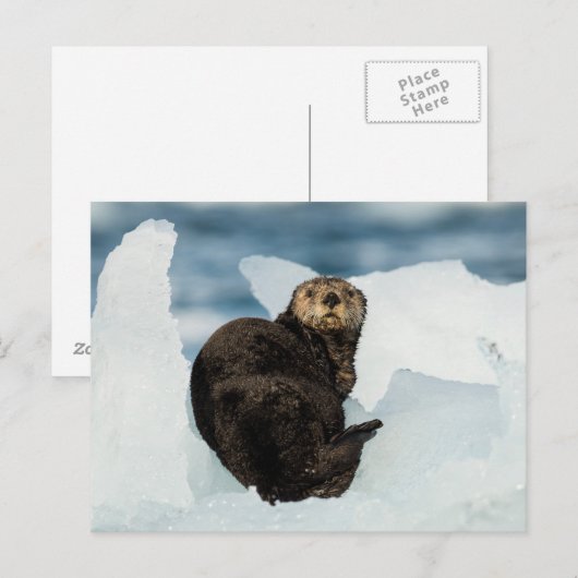 安静海船 ポストカード (正面/裏面)