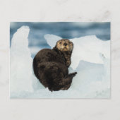 安静海船 ポストカード (正面)