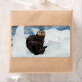 安静海船 ラベル (インサイチュ)