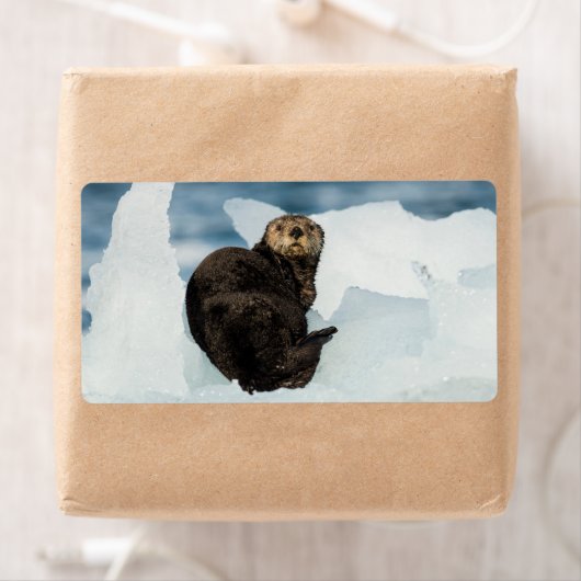 安静海船 ラベル (インサイチュ)