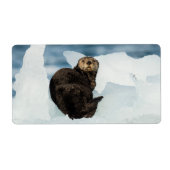 安静海船 ラベル (正面)