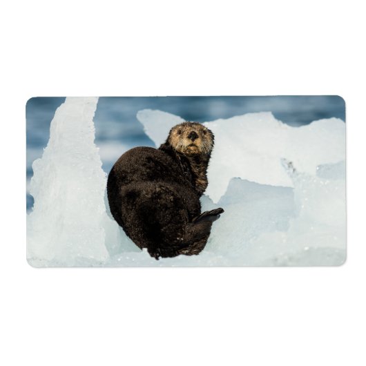 安静海船 ラベル (正面)