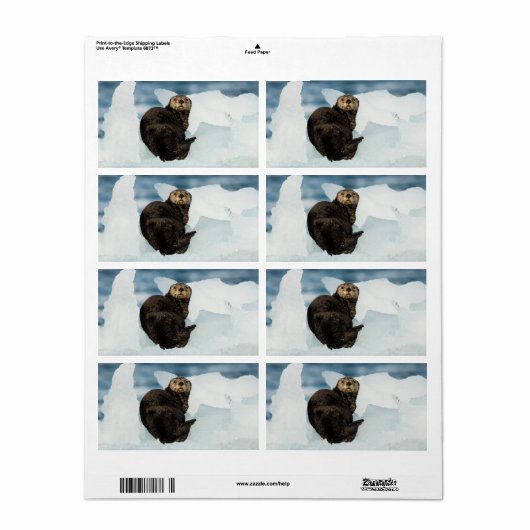 安静海船 ラベル (フルシート)