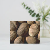 完全なナツメグ ポストカード (スタンド正面)