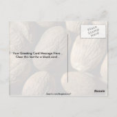 完全なナツメグ ポストカード (裏面)