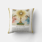完全なハートのメリーファティマ天使のMonstrance クッション (裏面)