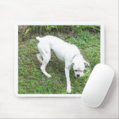完全なボクサーの白い子犬 マウスパッド (マウス)