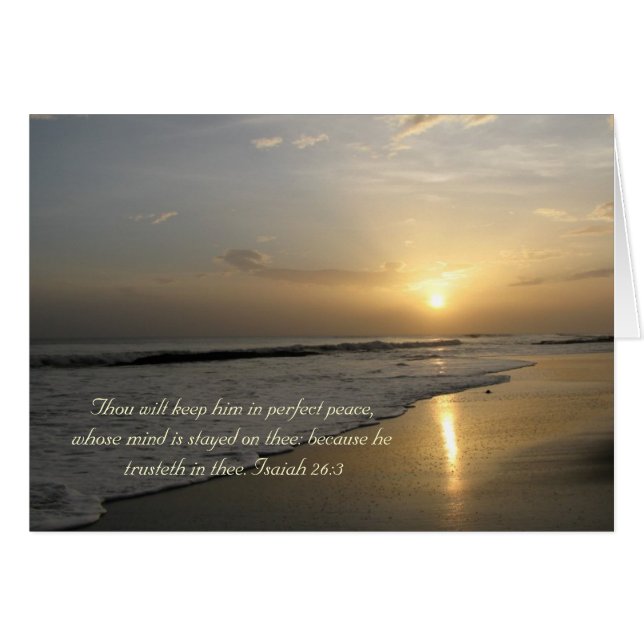 完全な平和 (正面横)