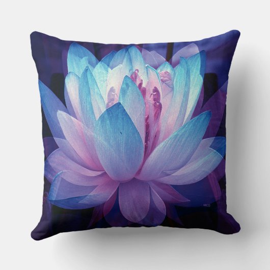 完全な愛で… クッション (裏面)