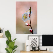 完全な日本のアプリコット花 ポスター (ホームオフィス)