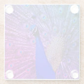 完全な栄光の孔雀 ガラスコースター (裏面)