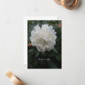 完全な白い牡丹 ノートカード (正面/裏面インサイチュ)