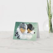 完全な組 カード (正面)