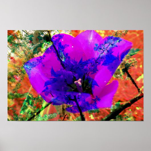 完全な謝罪 ポスター (正面)