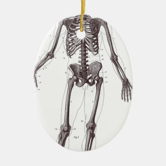完全な骨組 セラミックオーナメント (正面)