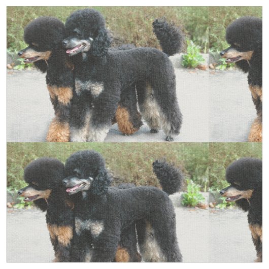 完全な2匹のプードル ファブリック (クローズアップ)