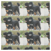 完全な2匹のプードル ファブリック (見本)