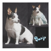 完全にカスタマイズ可能なフォトキューブ フォトキューブ (右)