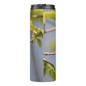 完全にポーズを取ったオスのハチドリ タンブラー (裏面)