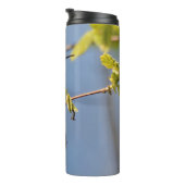 完全にポーズを取ったオスのハチドリ タンブラー (回転右)