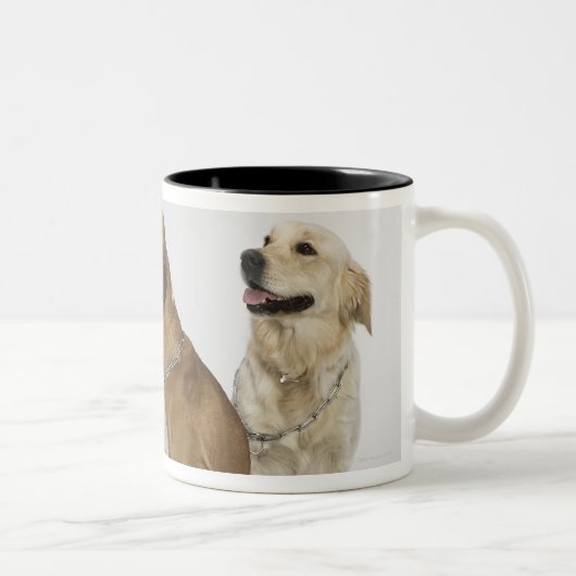 完全に右の方を向いている3匹の犬 ツートーンマグカップ (右)