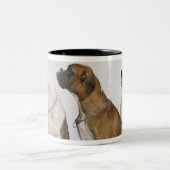 完全に右の方を向いている3匹の犬 ツートーンマグカップ (中央)