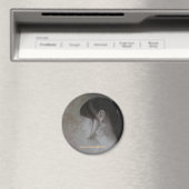 完全に終わった マグネット (インサイチュ (食洗機))