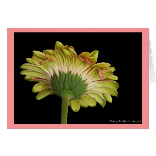 完全に美しい (正面横)