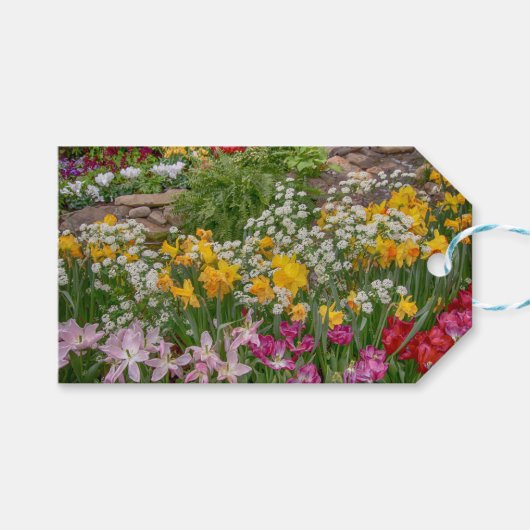 完全カラフル開花春の花 ギフトタグ (正面(横))