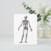 完全スケルトン ポストカード (スタンド正面)