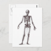 完全スケルトン ポストカード (正面/裏面)