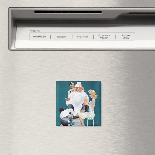 完全トリートメント マグネット (インサイチュ (食洗機))