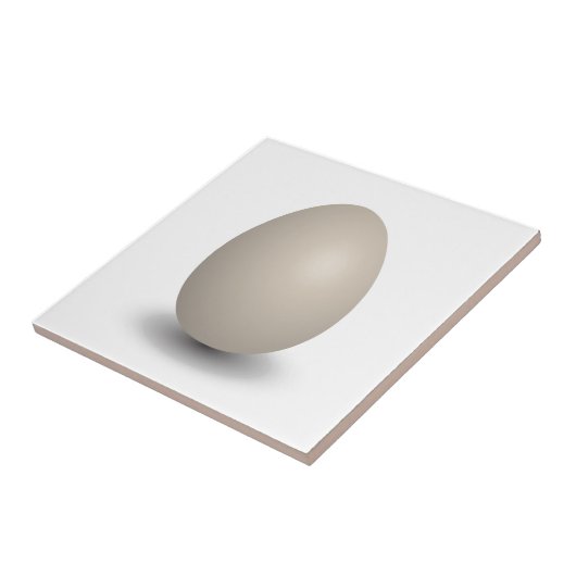 完全卵 タイル (側面)