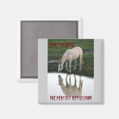 完全反射… マグネット (正面/裏面)