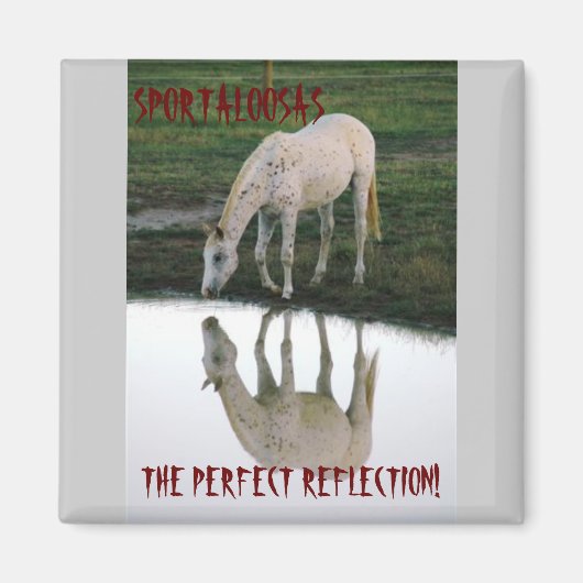 完全反射… マグネット (正面)