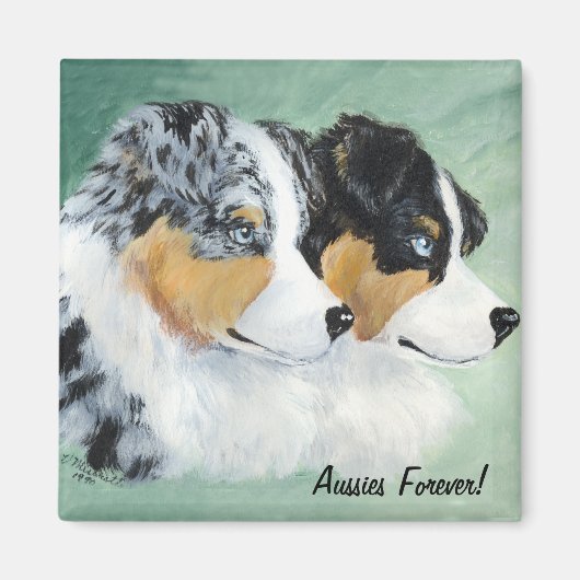 完全対 マグネット (正面)