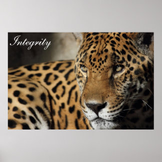 完全性 ポスター