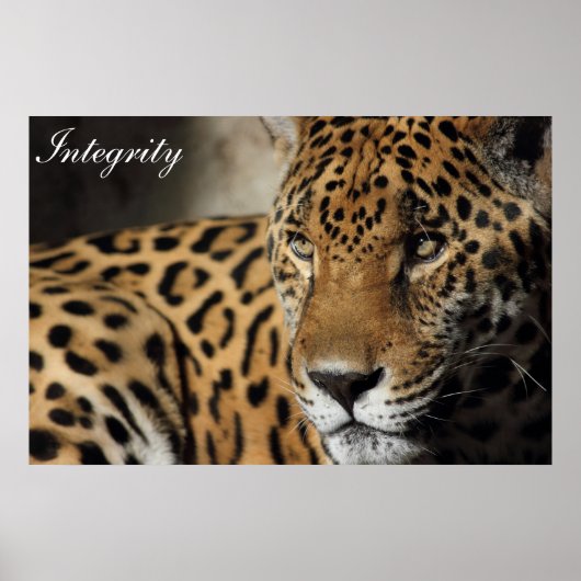 完全性 ポスター (正面)