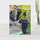 完全熟成 カード (正面)