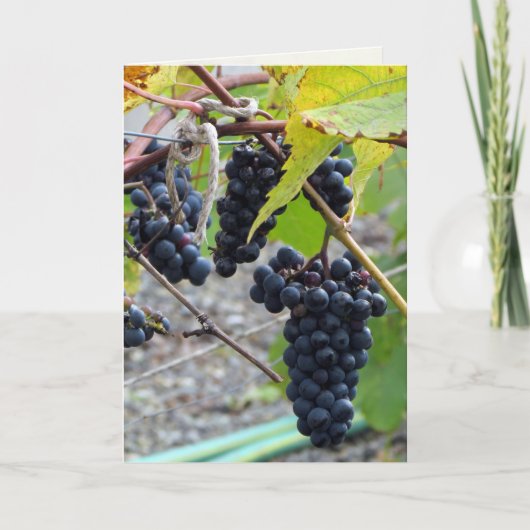 完全熟成 カード (正面)