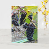 完全熟成 カード (黄色い花)