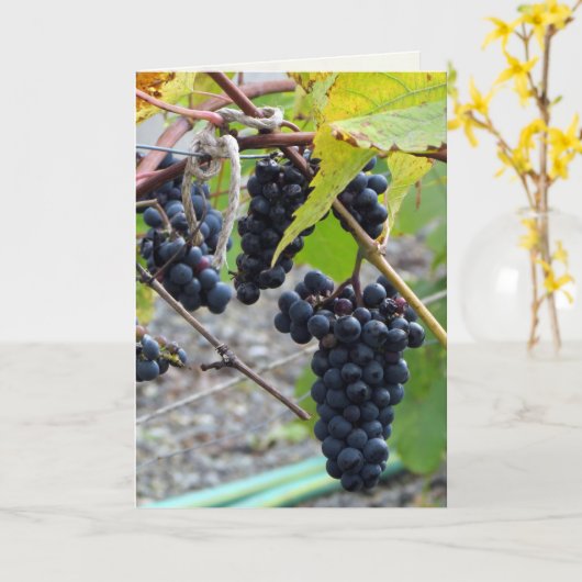 完全熟成 カード (黄色い花)