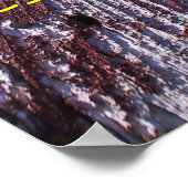 完全熟成 ポスター (角)