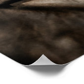 完全脚 ポスター (角)