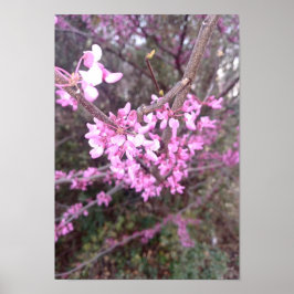 完全開花 ポスター