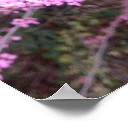 完全開花 ポスター (角)